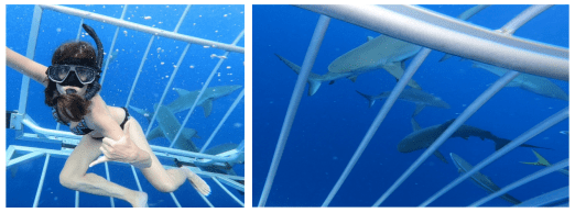 Screen Shot 2018-09-28 at 11.05.50 PM