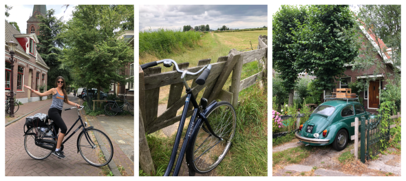 Screen Shot 2019-05-05 at 11.06.18 PM